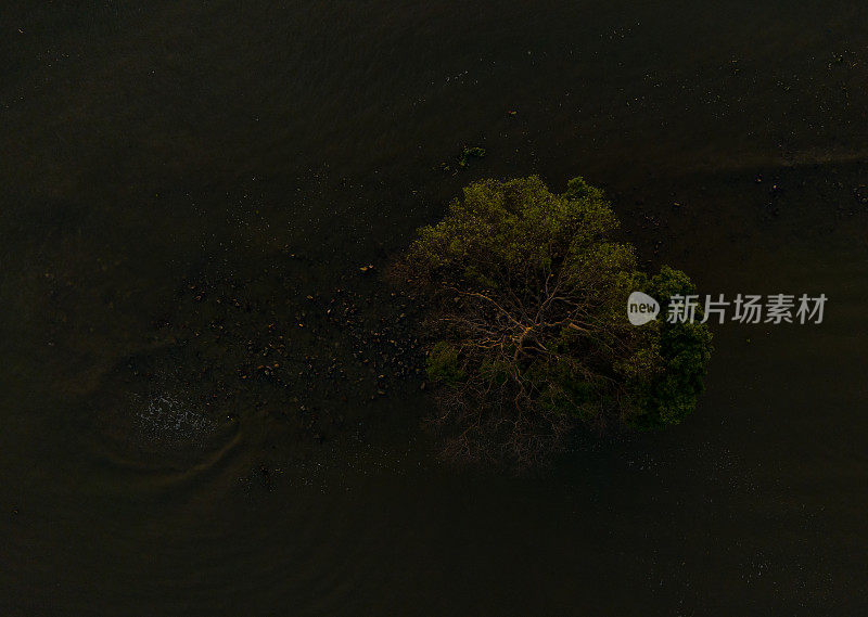 摘要航拍的海浪和软木树在Tan Thanh海滩，天江省